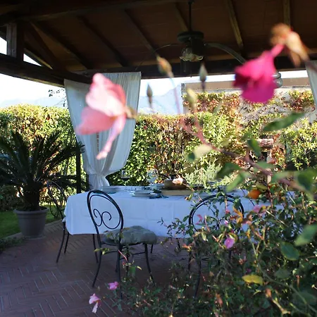 Dimora Degli Ulivi Villa Camaiore