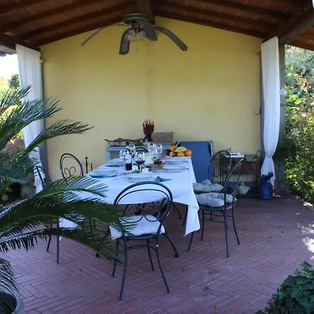 Dimora Degli Ulivi Camaiore